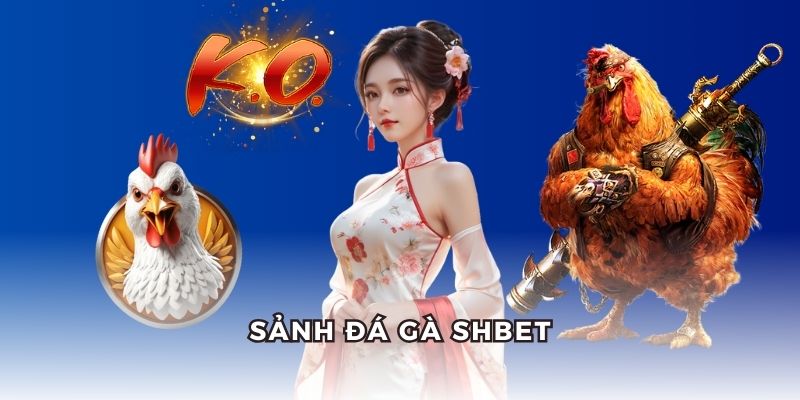 Tham gia sảnh đá gà sôi động tại SHBET.