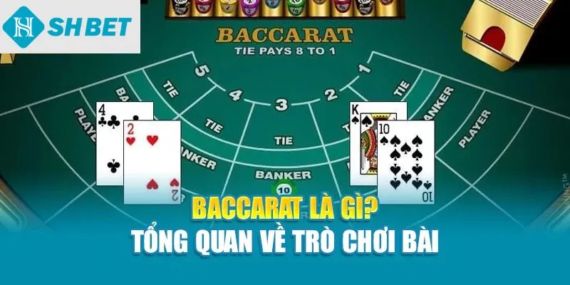 Baccarat là gì? Tổng quan về trò chơi bài