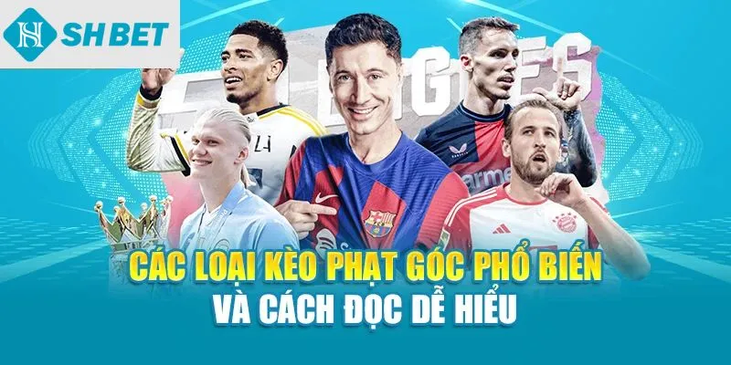Các loại kèo phạt góc phổ biến và cách đọc dễ hiểu