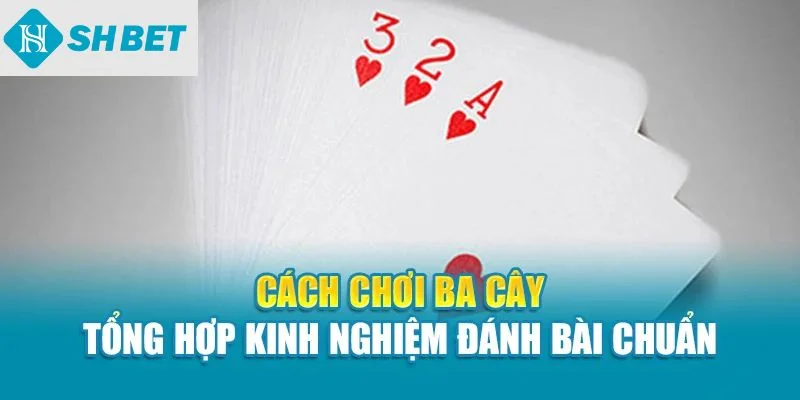 Cách chơi ba cây tổng hơp kinh nghiệm đánh bài chuẩn