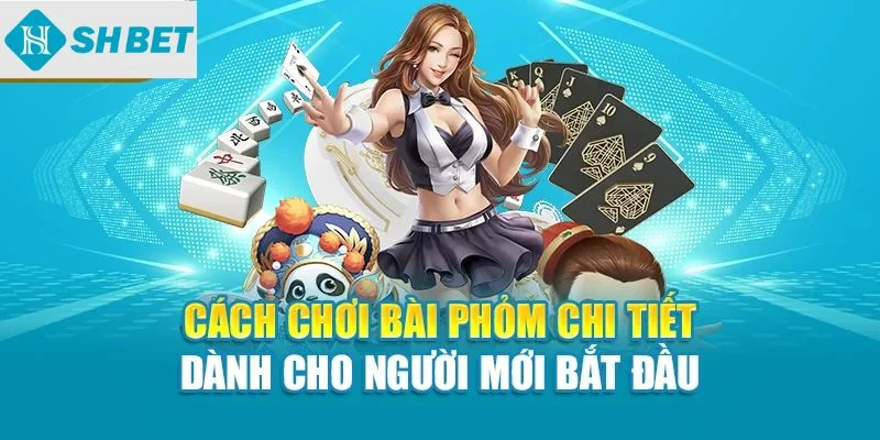 Cách chơi bài Phỏm chi tiết dành cho người mới bắt đầu