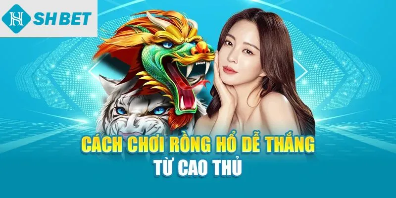 Cách chơi Rồng Hổ dễ thắng từ cao thủ