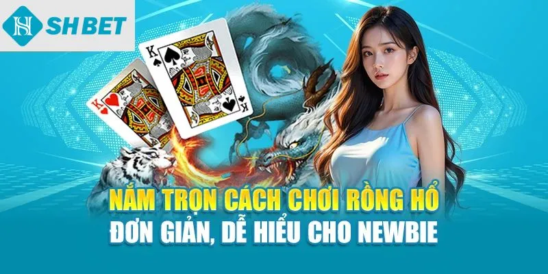 Nắm trọn cách chơi rồng hổ đơn giản dễ hiểu cho newbie