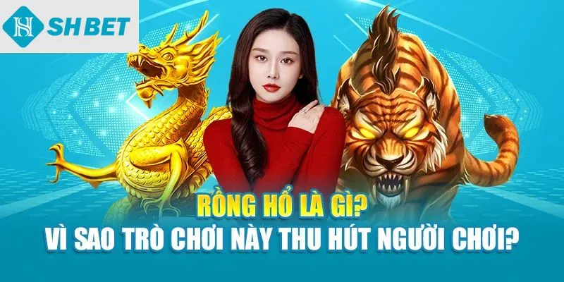Rồng hổ là gì?