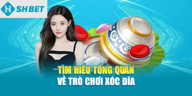 Tìm hiểu tổng quan về trò chơi xóc đĩa