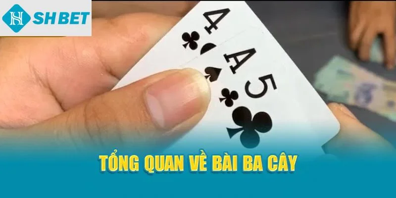 Tổng quan về bài ba cây